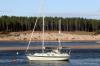 Findhorn July 2021 0090
